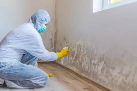 Best Real Estate Mold Inspection  in Morgan City, LA