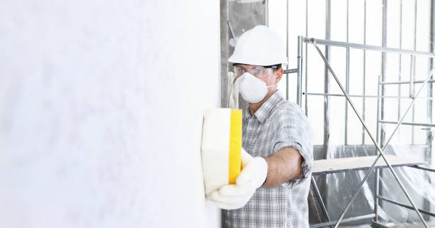 Best Mold Odor Removal Services  in Morgan City, LA