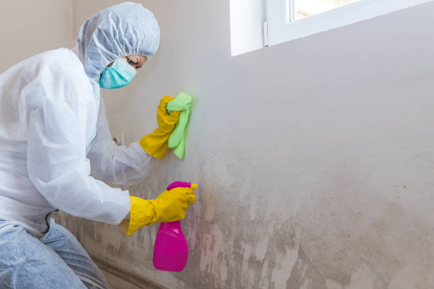 Forensic Mold Investigation in Morgan City, LA