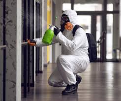 Best Commercial Mold Inspection  in Morgan City, LA